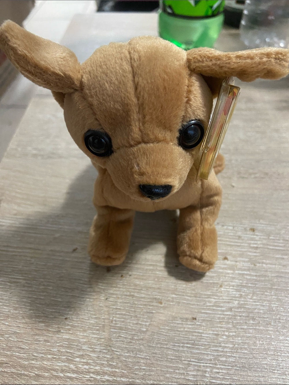 Ty Beanie Babies Collection "Tiny" Brown Chihuahua 1999 Beanie Plush